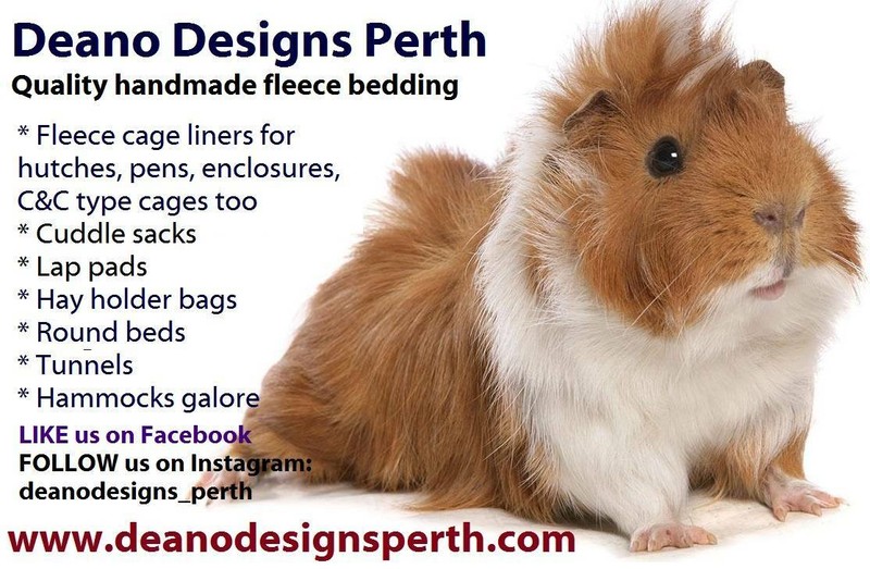 washable guinea pig bedding